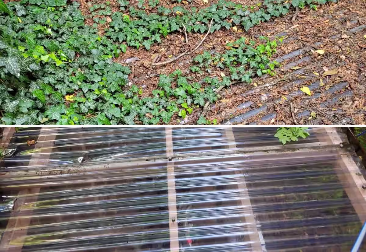 image of detailing tools and products